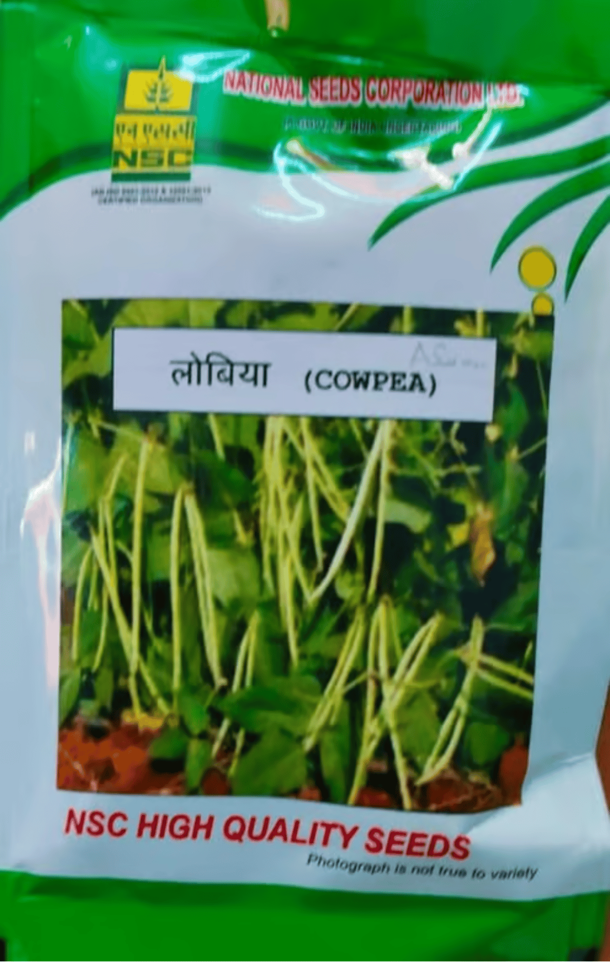 NSC Cowpea Seeds – Arka Suman (50 gms)