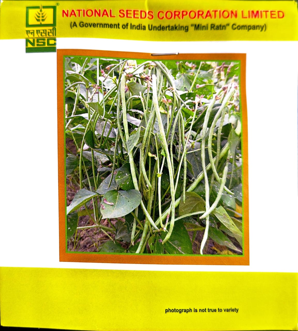 NSC Cowpea, Variety‑Kashi Nidhi, 20 gm