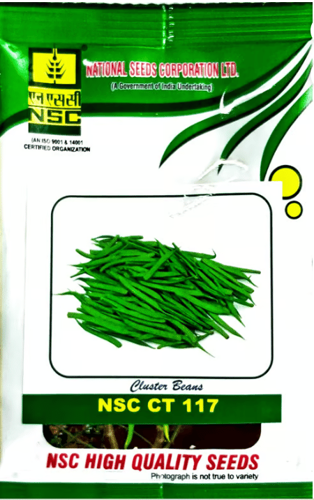 Cluster Beans NSC CT 117