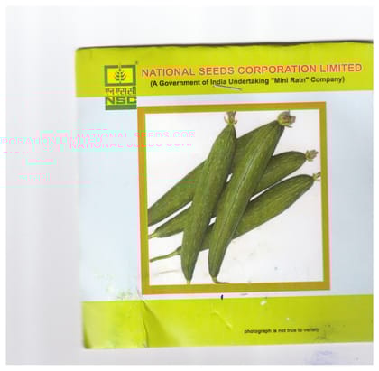 NSC Spoung Gourd Kashi Jyoti