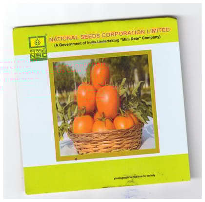 NSC Tomato Kashi Aman, 5 Gram