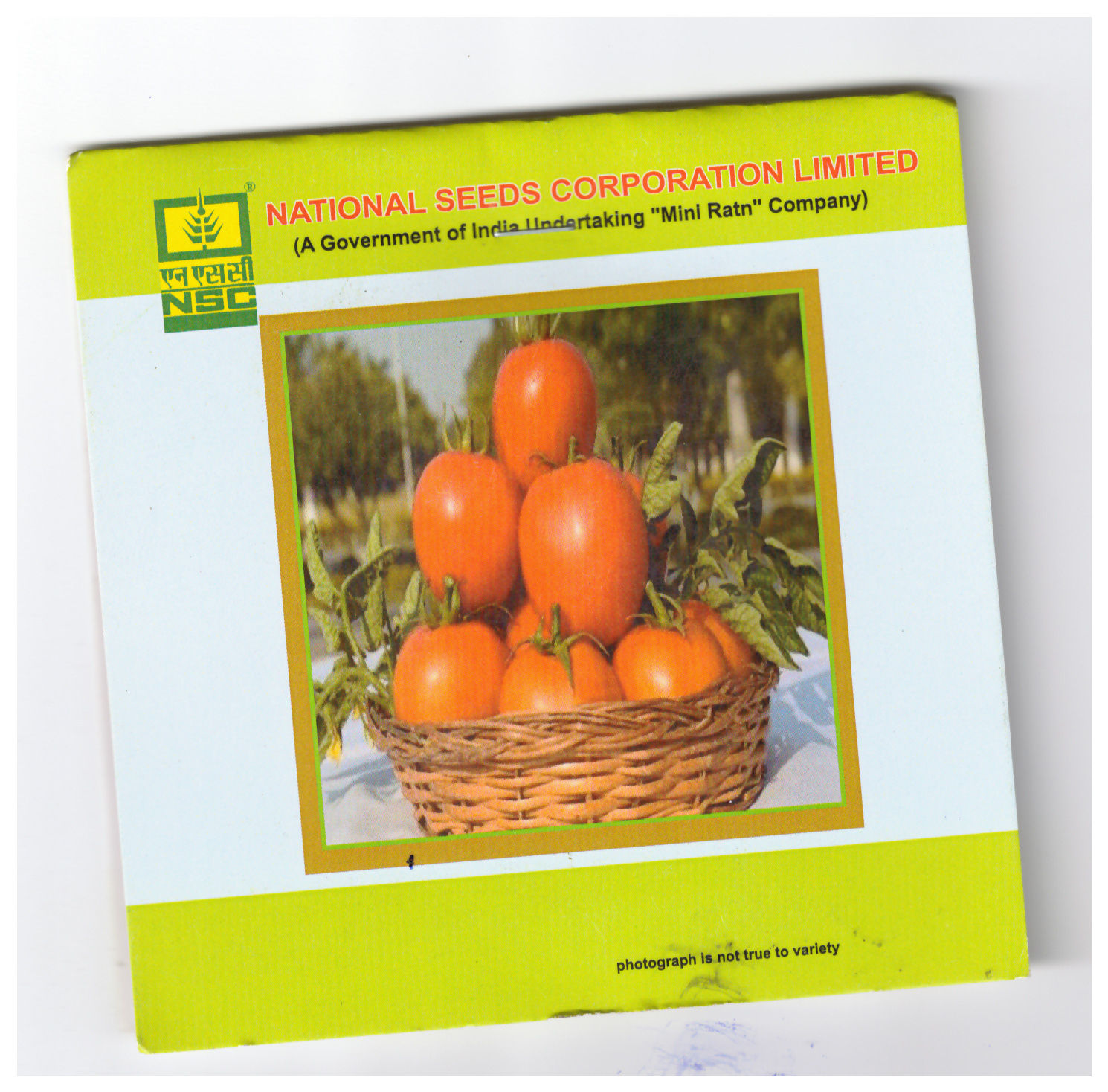 NSC Tomato Kashi Aman, 5 Gram