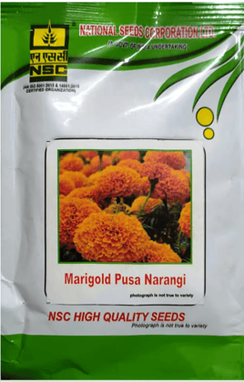NSC Marigold Pusa Narangi