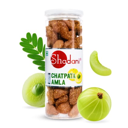 Shadani Chatpata Amla Can 200g
