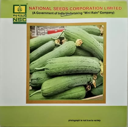 Sponge Guard (Variety-Kashi Shreya)