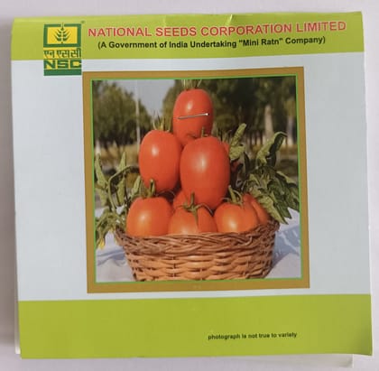 Tomato- Kashi Aman TL Tomato- Kashi Aman TL