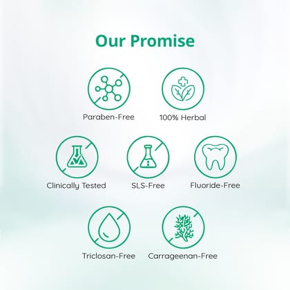 Mintdrops Premium Tooth Tabs (Spear Mint Flavour)