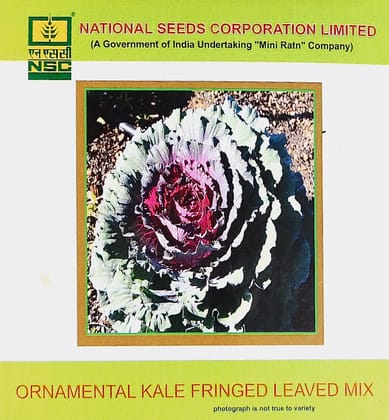NSC Ornamental Kale Fringed Leaves Mix Seed