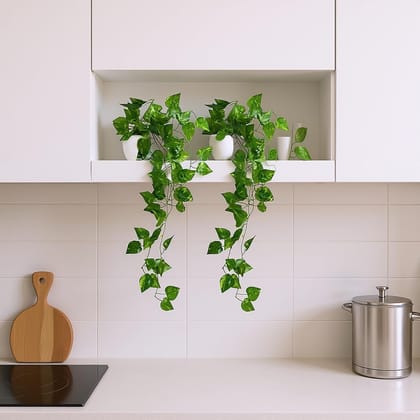 Modern White Kitchen with Pothos Plants and Cooktop