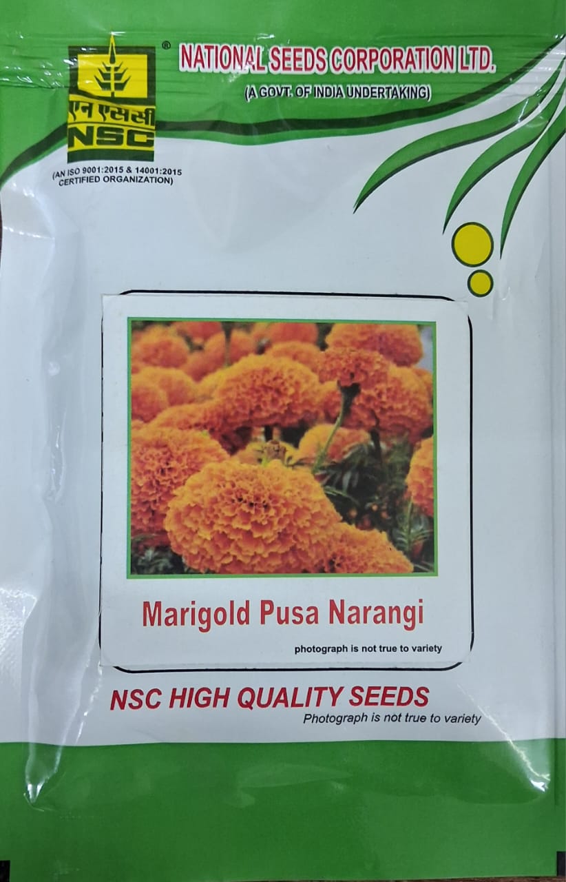 NSC Marigold Pusa Narangi- 10 Gram pack