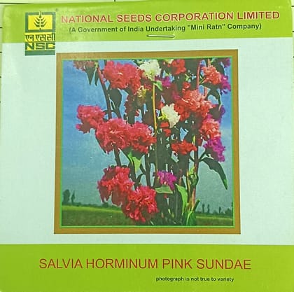 Parsley Moss Curled Seeds