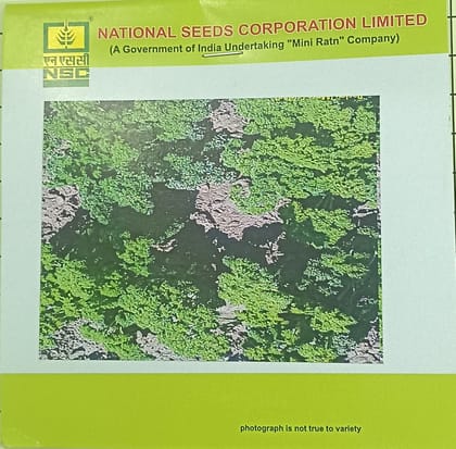 Parsley Moss Curled Seeds