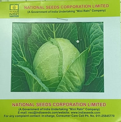 Cabbage G.A. Hybrid Seeds