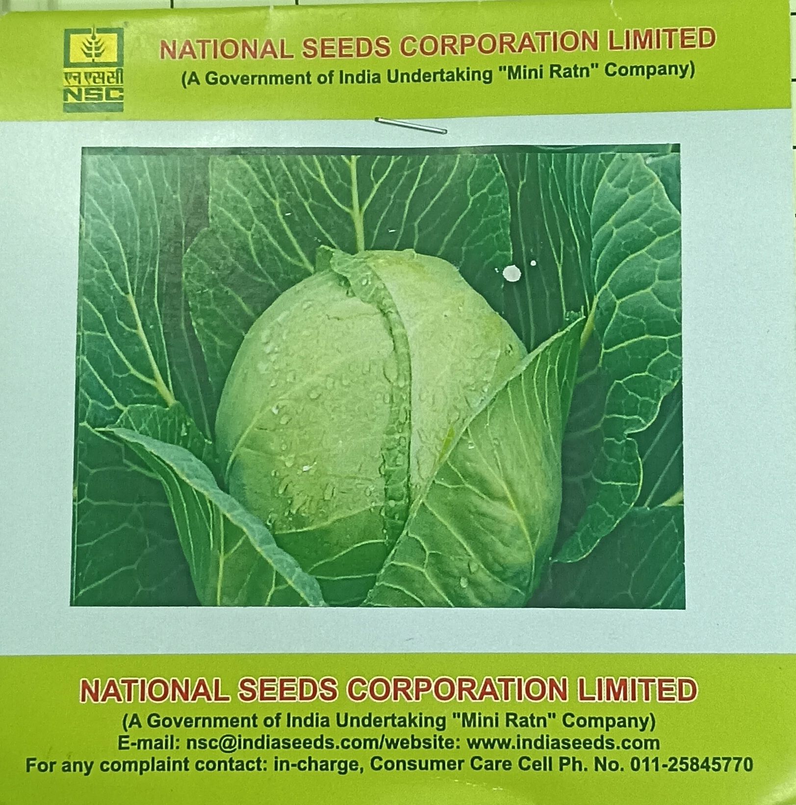 Cabbage G.A. Hybrid Seeds