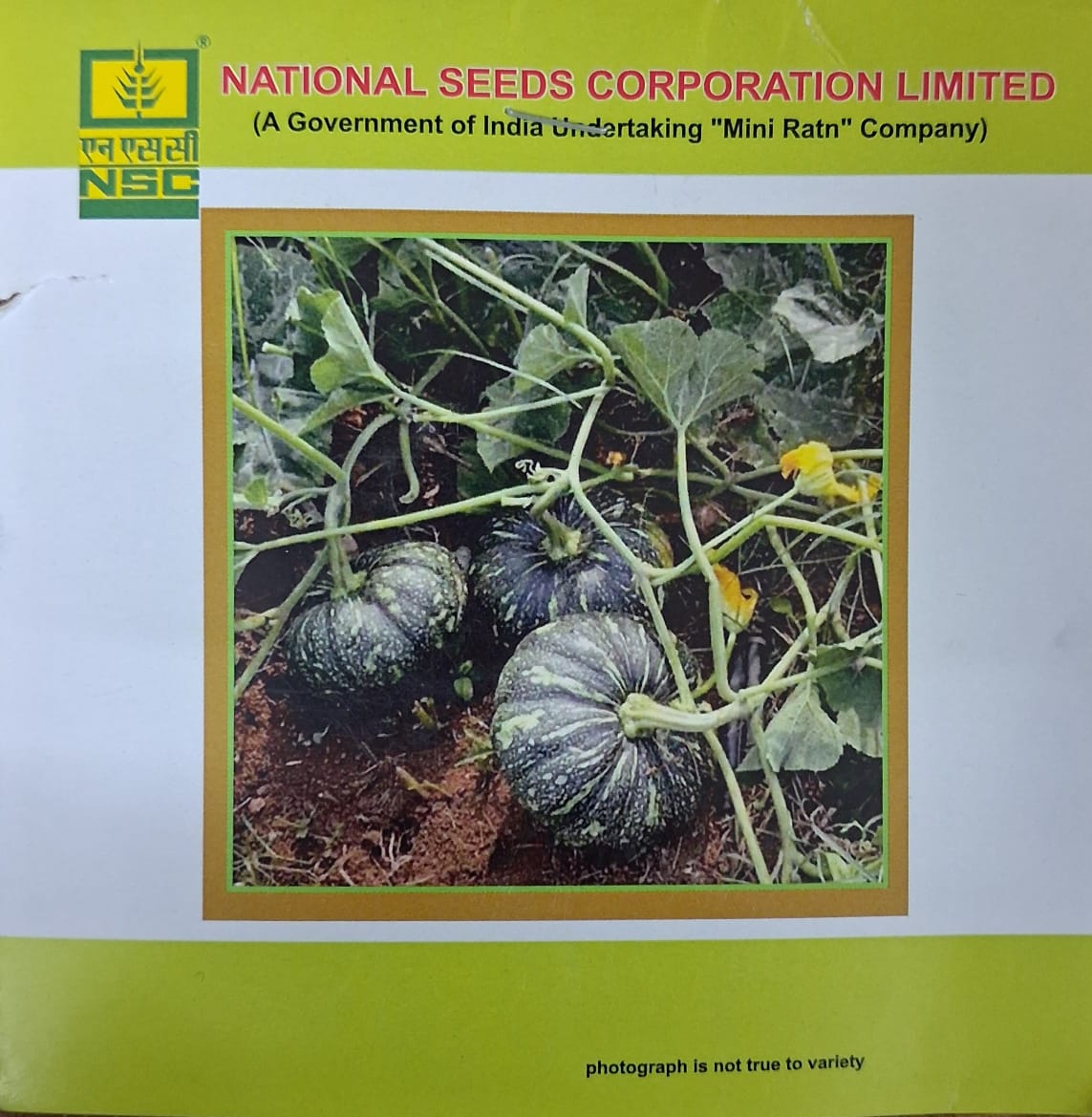NSC Pumpkin Variety - Kashi Harit, 5gm of TL Seed