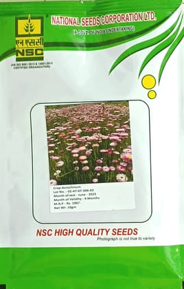 Acroclinium (Paper Daisy / Everlasting Flower) Seeds