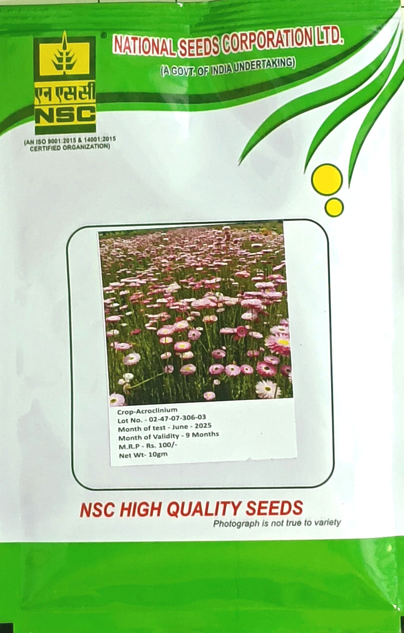 Acroclinium (Paper Daisy / Everlasting Flower) Seeds
