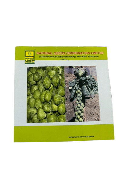 NSC Brussels Sprout – Hilds Ideal Seeds