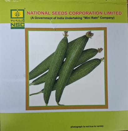 NSC Spoung Gourd Variety-Kashi Jyoti, 5gm of TL Seed