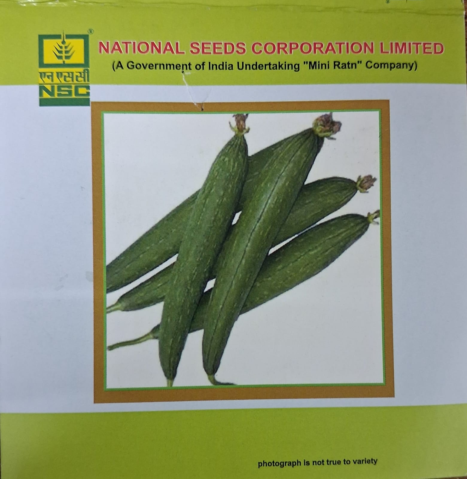 NSC Spoung Gourd Variety-Kashi Jyoti, 5gm of TL Seed