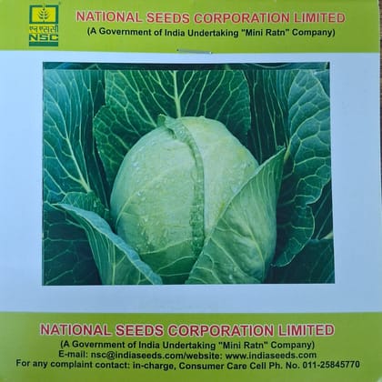 Golden Acre” variety 5 gm / Small Planting Packets