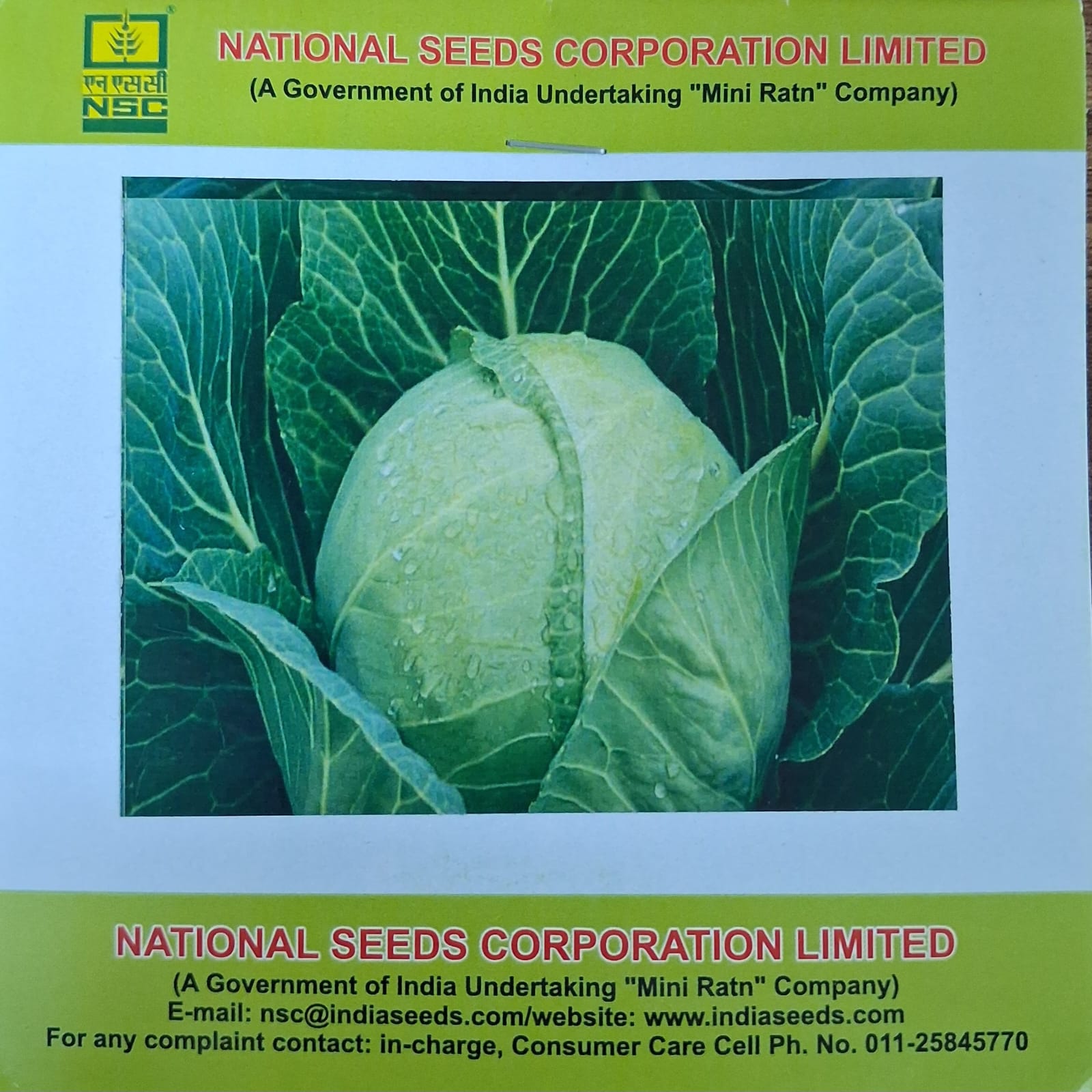 Golden Acre” variety 5 gm / Small Planting Packets