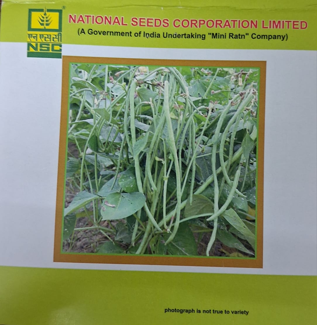 NSC Cowpea Variety‑Kashi Nidhi, 20 gm TL Seed