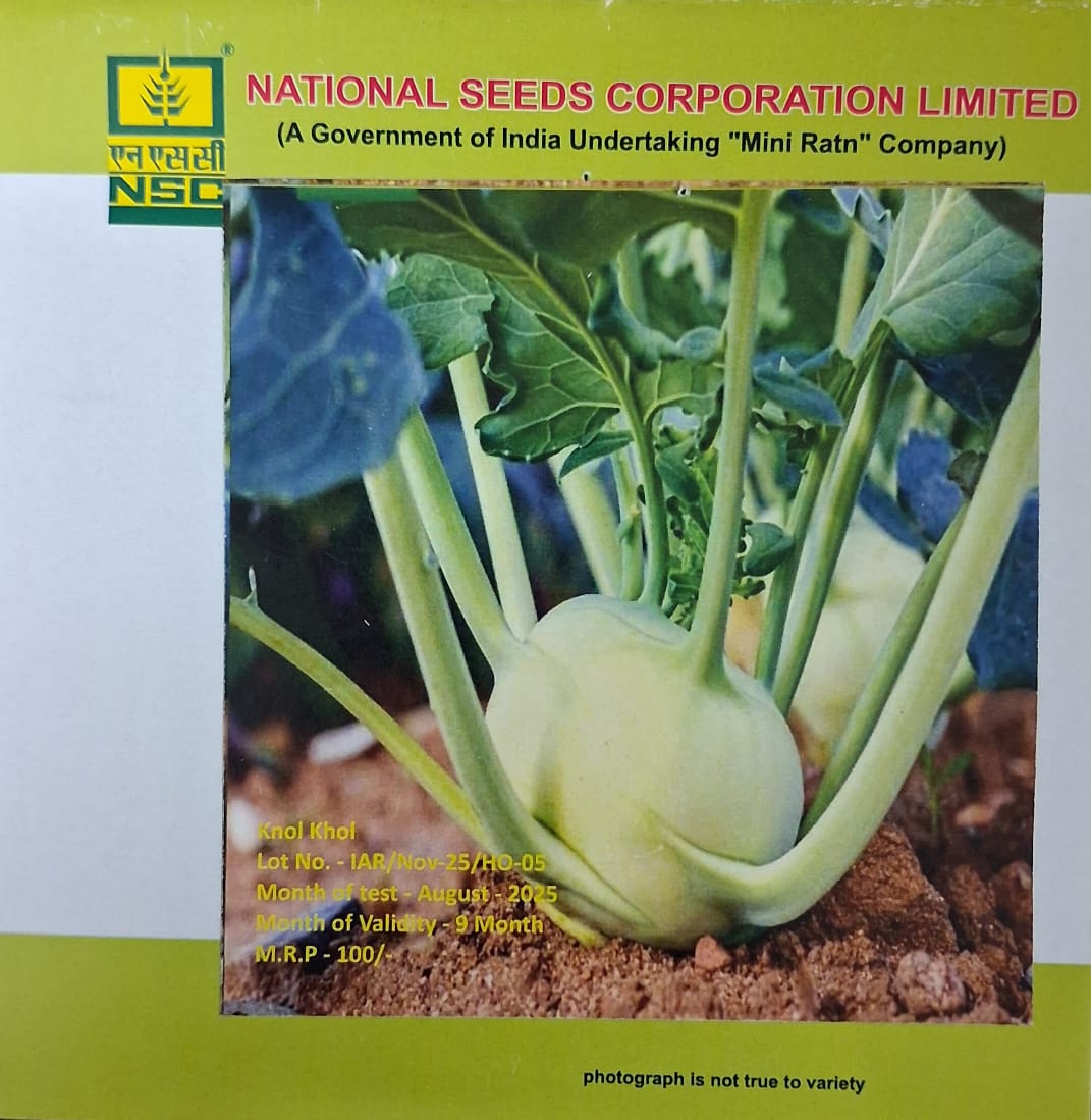 NSC Knol-Knol – White Veena Seeds