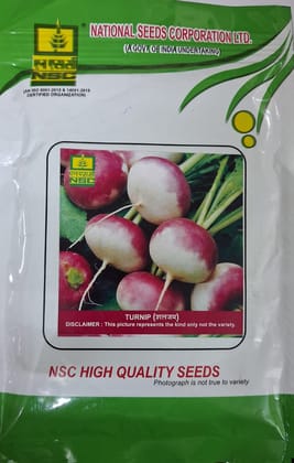 NSC Turnip,Variety-PTWG 100 Gram