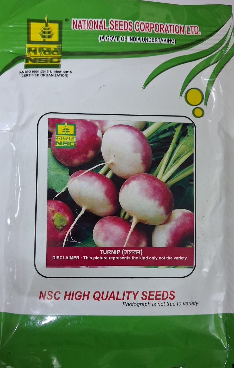 NSC Turnip,Variety-PTWG 100 Gram