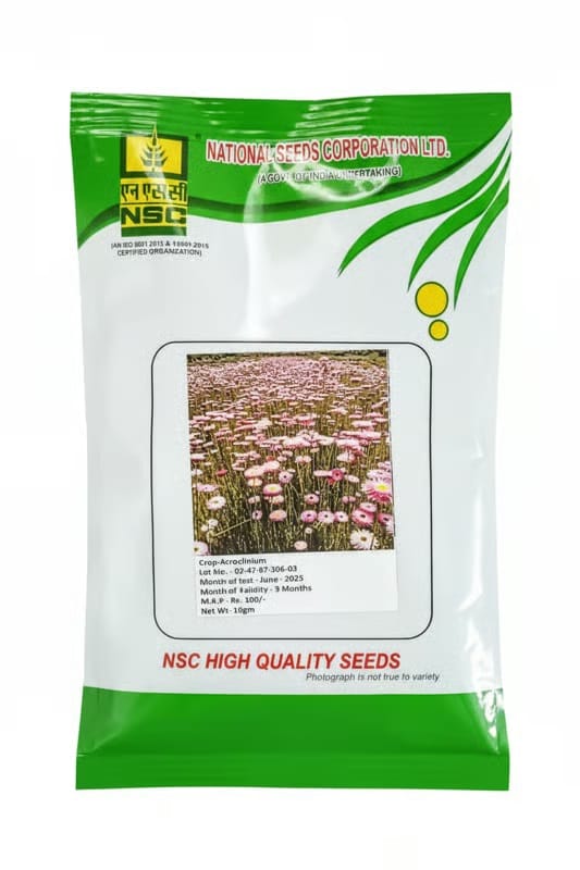 Acroclinium Flower Seed