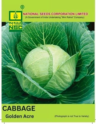 NSC Cabbage / Golden Acre