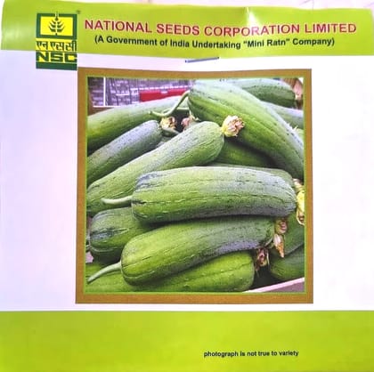 NSC Sponge Gourd, Kashi Shreya