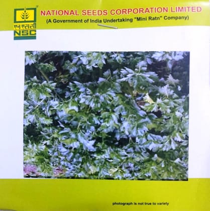NSC Celery – Fordhook Emperor – 5 gm Seeds