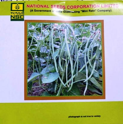 NSC Cowpea KASHI NIDHI– High Quality Seeds – 20 gm