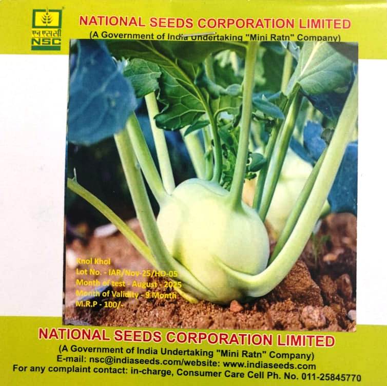 NSC Knol Khol White – Veena – 5 gm Seeds