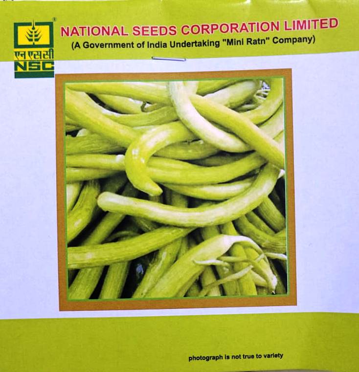 NSC Long Melon Gourd – Santusti – 5 gm Seeds