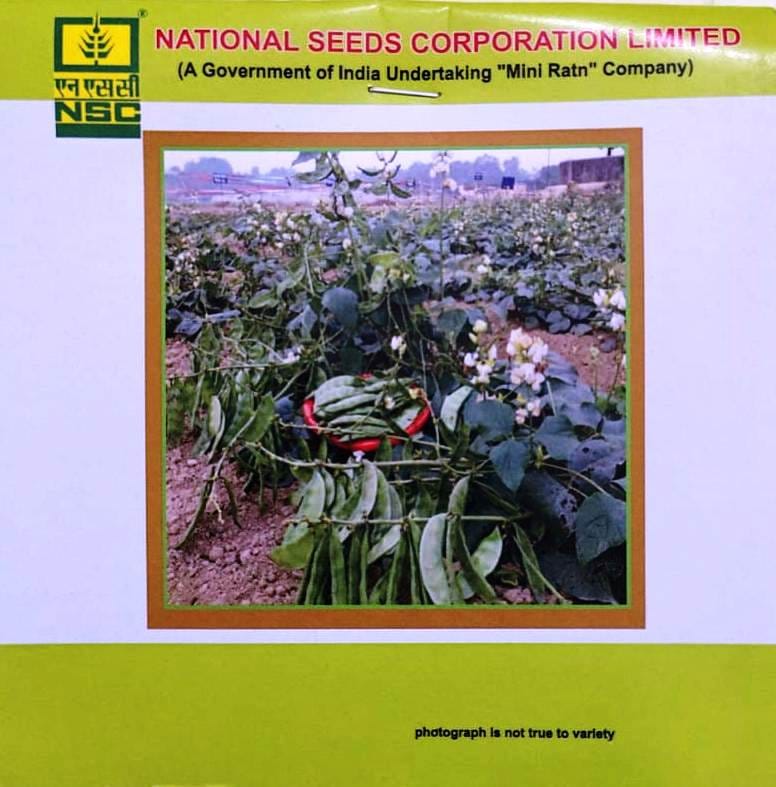 NSC Sem Kashi Bauni-207 – High Quality Seed (20 gm)