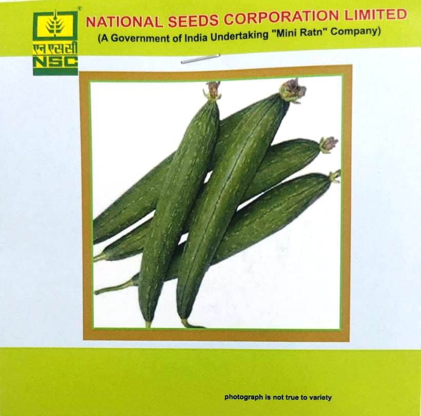 NSC Sponge Gourd Kashi Jyoti (5 gm)