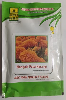 Marigold – Pusa Narangi
