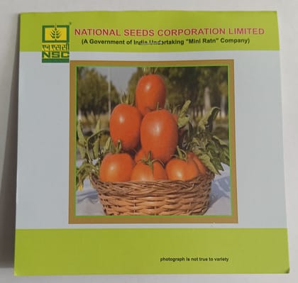 Tomato – Kashi Aman TL