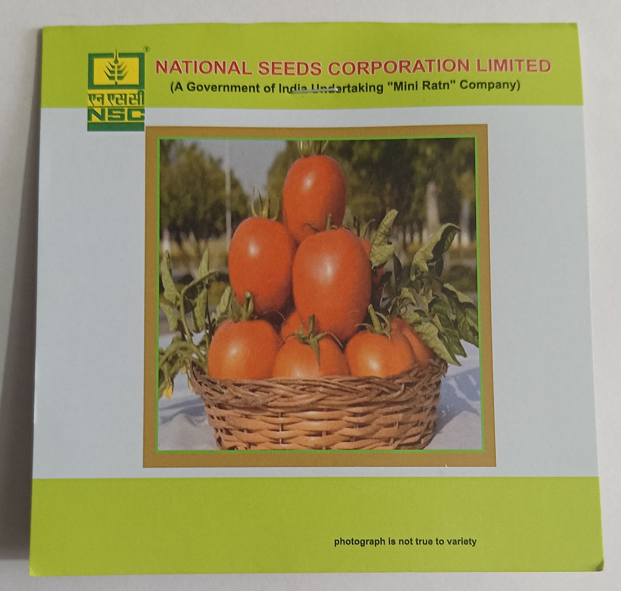 Tomato – Kashi Aman TL