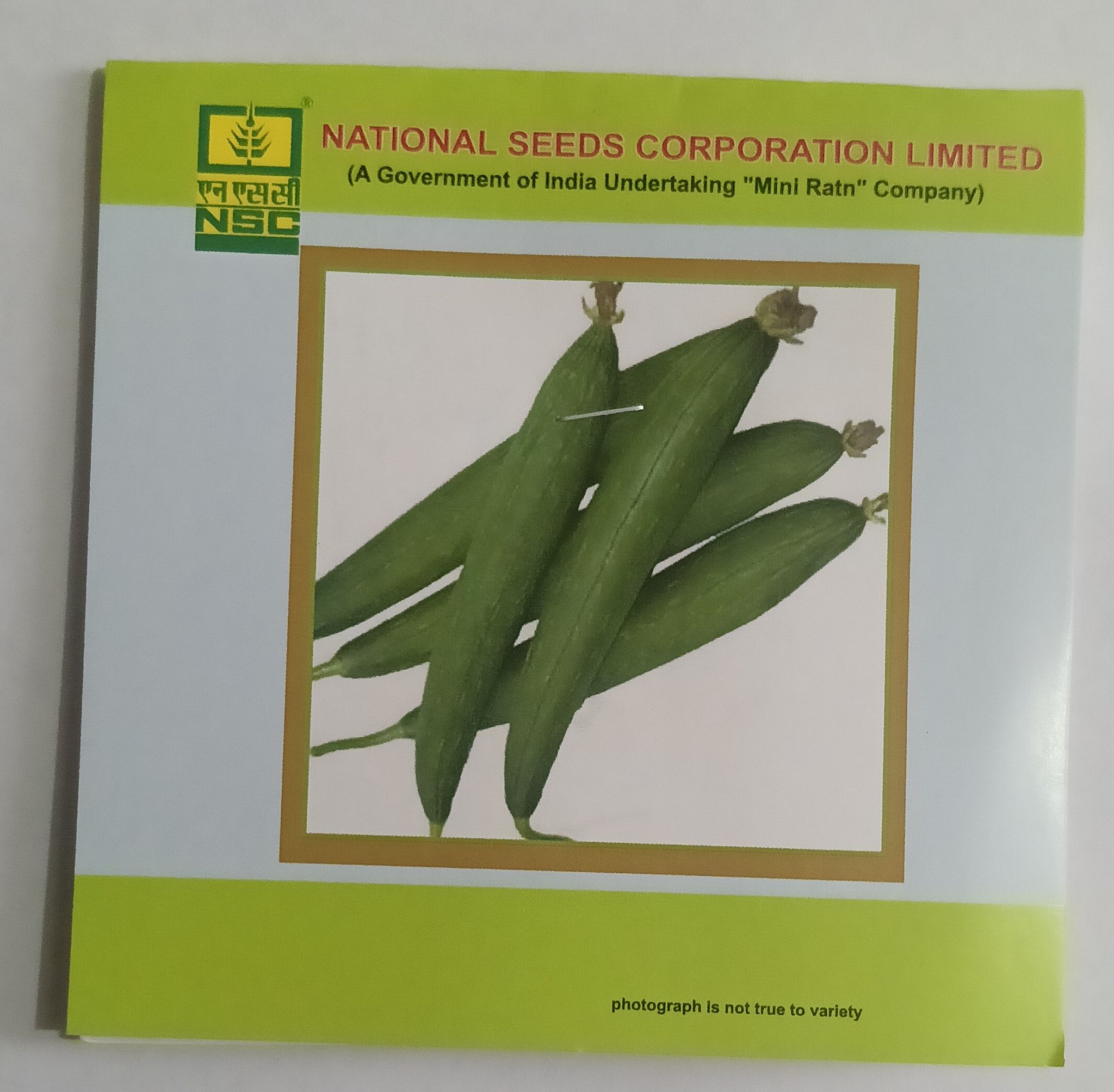 Sponge Gourd – Kashi Jyoti Variety