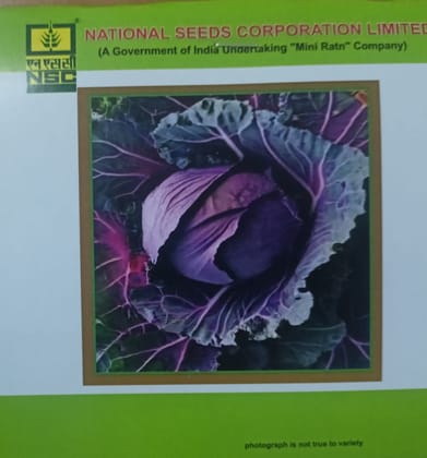 NSC Red Cabbage, Pusa Red Cabbage Hy.-1 Vegetable, 1 Gram Truthfully Labelled Seed Pouch