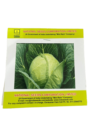 NSC Cabbage – Golden Acre