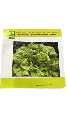 NSC Lettuce – Chinese Yellow