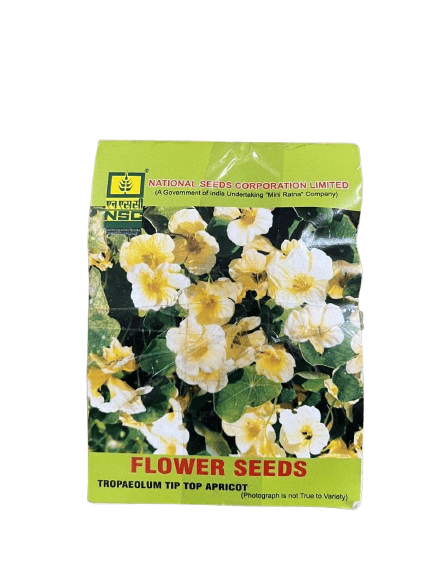 NSC Tropaeolum (Nasturtium) – Tip Top Apricot