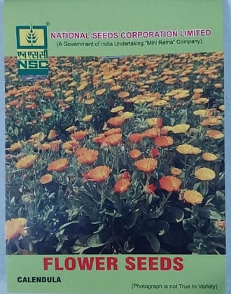 Calendula Seeds - 5 Gm Packet for Vibrant Blooms