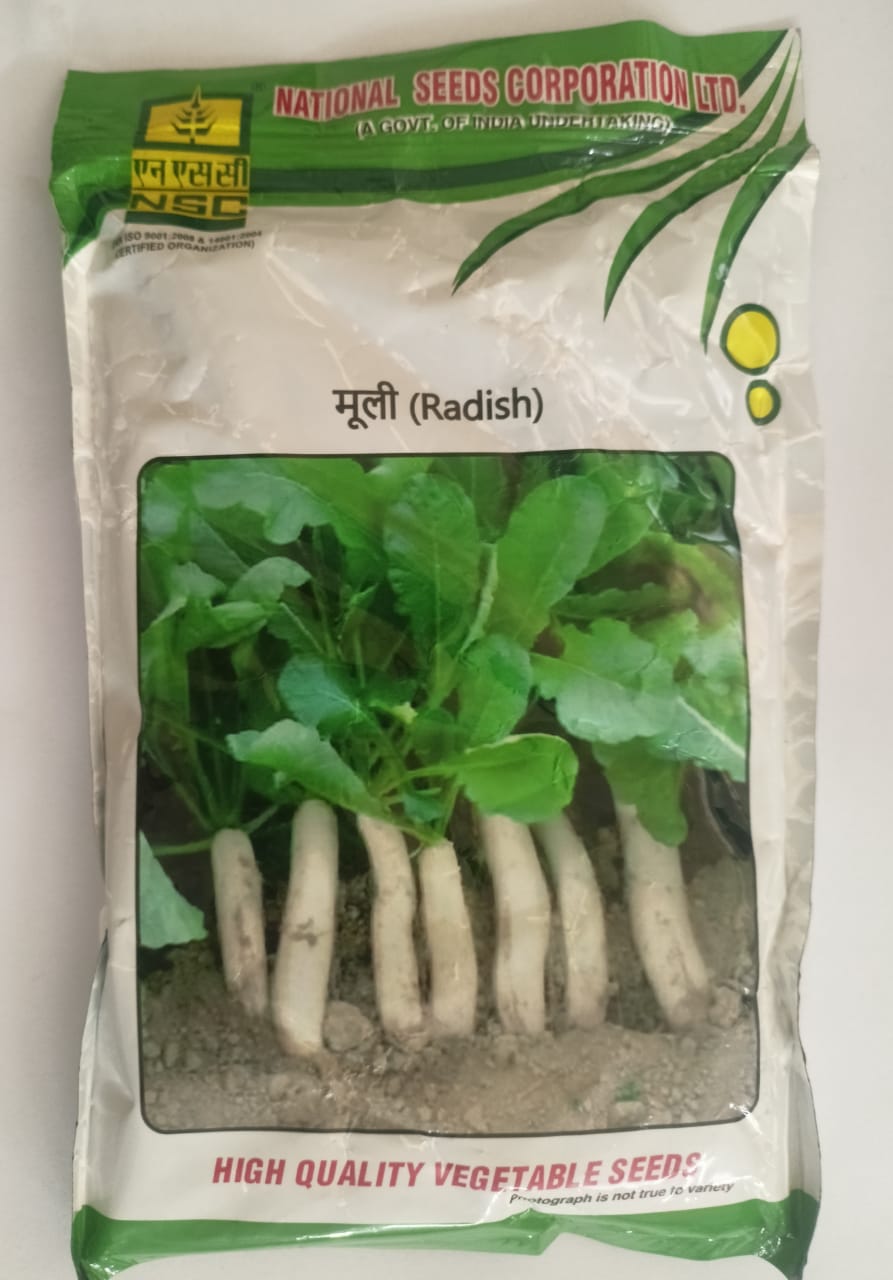 NSC Radish, Japanese White (JW) Variety, 250 gram Truthfully Labelled Seed Pouch