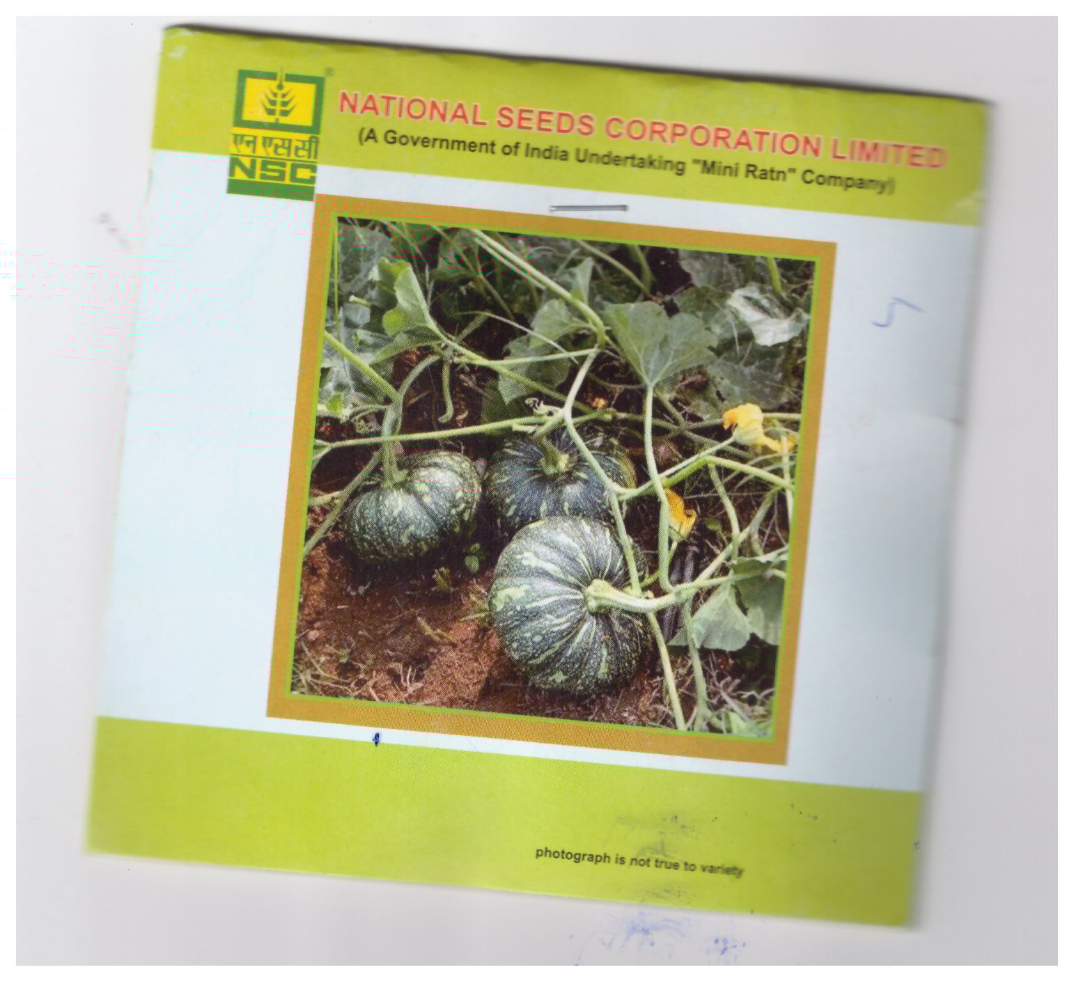 NSC Pumpkin Kashi Harit Seed